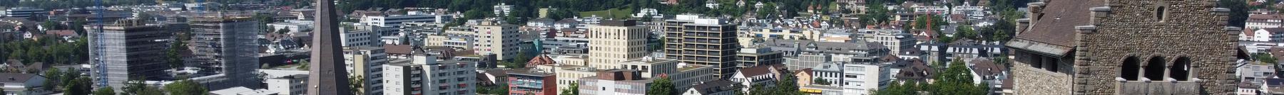 Blick über Uster mit der Kirche und Burg im Vordergrund