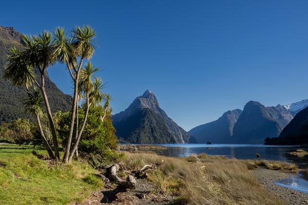 Neuseeland, Natur