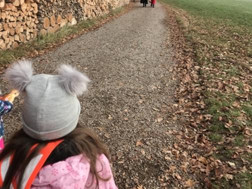 Samichlaus im Wald