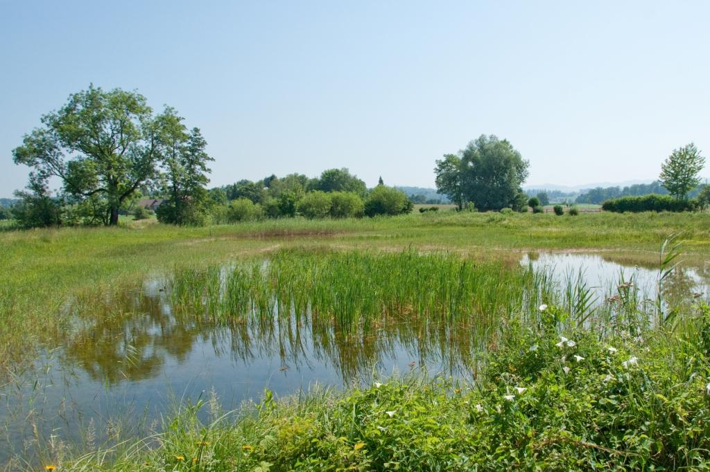 Natur und Landschaft