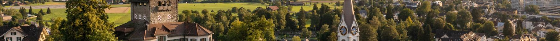 Flugaufnahme der Stadt Uster mit Schloss und reformierter Kirche