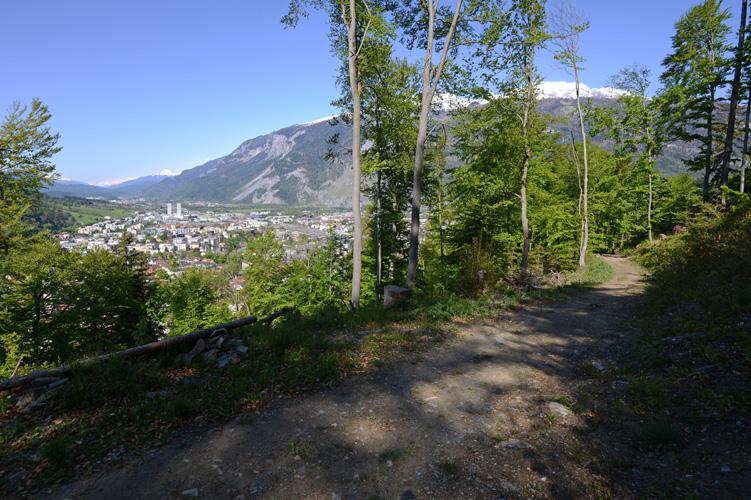 Blick vom St.Luziweg an der Halde über Teile der Stadt. 