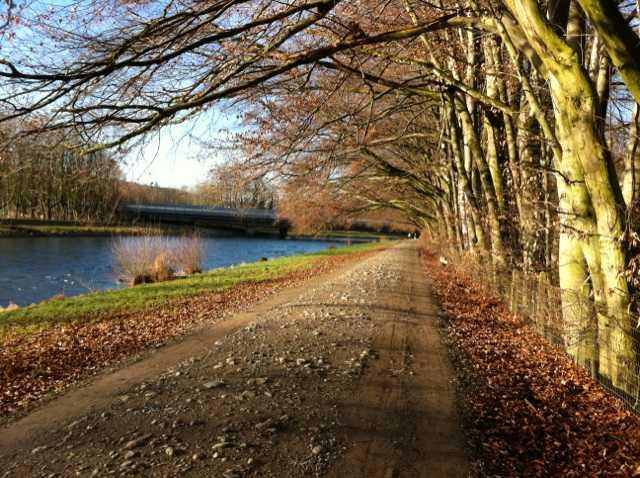 3. RANG	Urs Muntwyler (Laufstrecke an der Limmat)