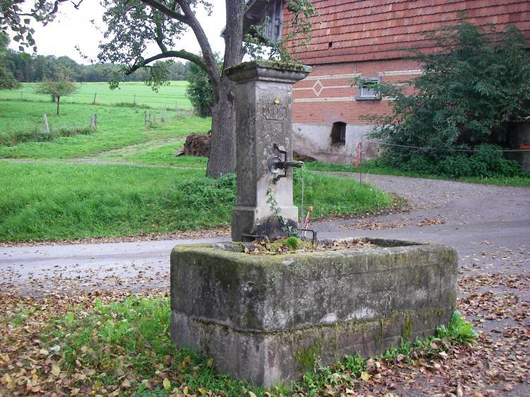 Brunnen Trinenmoos 