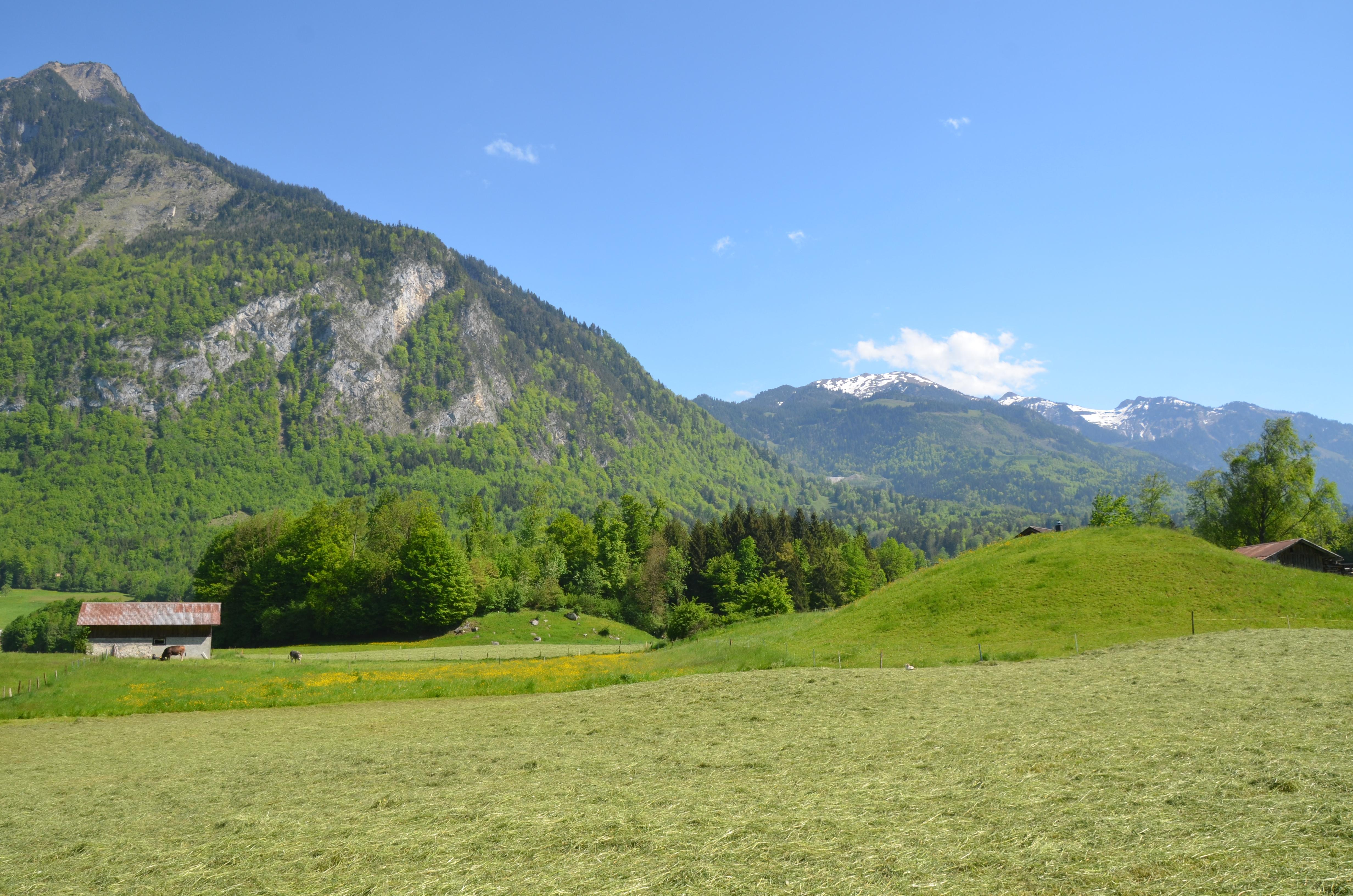 Tomahügel im südlichen Drachenried, kurz vor St. Jakob