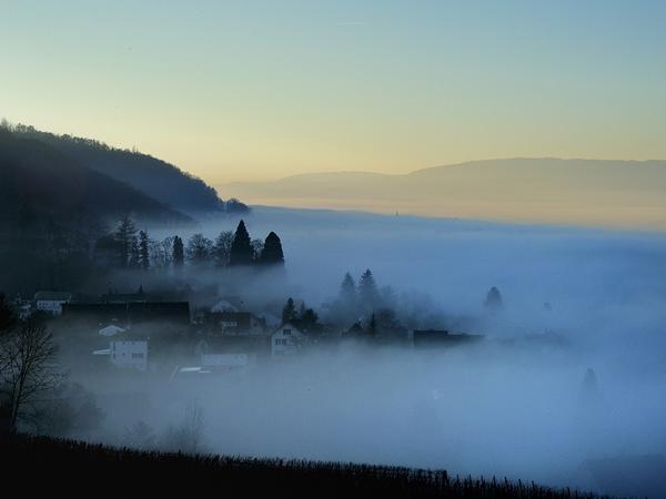 Mannenbach im Nebel