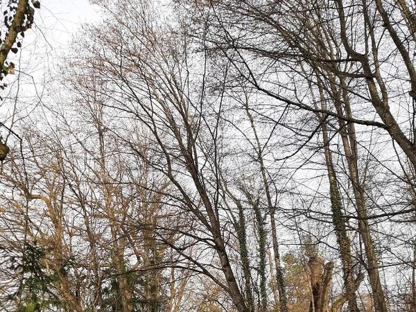 An der Lorze