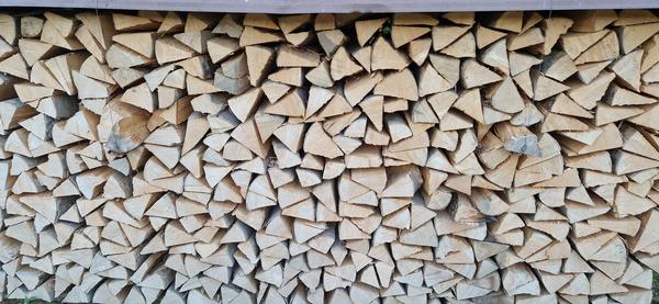 Brennholz Frisch