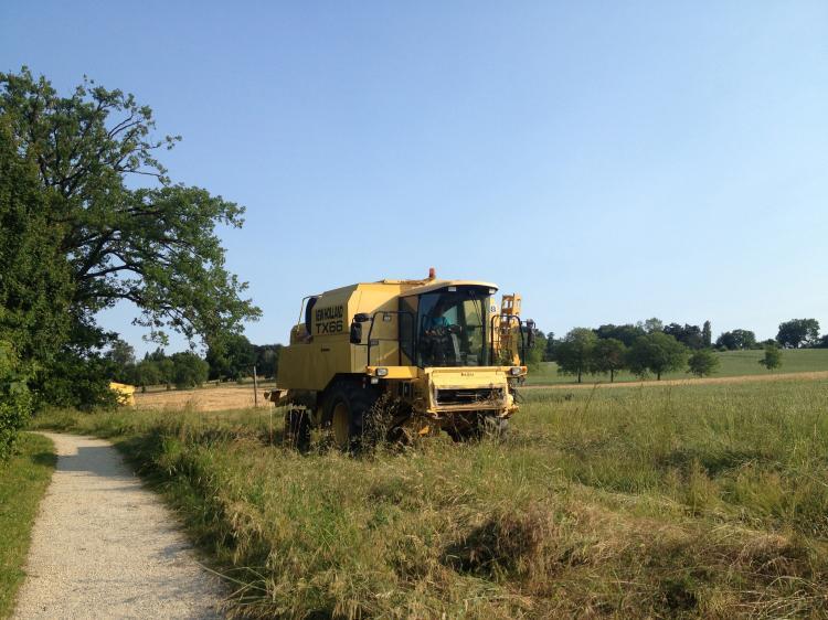 La campagne de Tournay