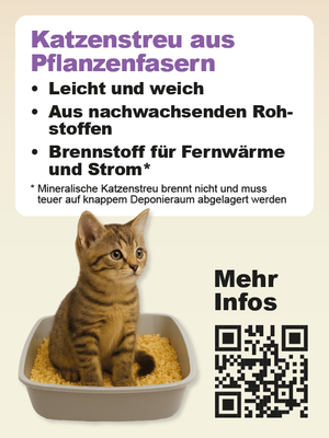 Katze die im Katzenstreu sitzt
