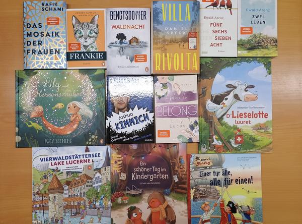 Bild mit vielen Büchern