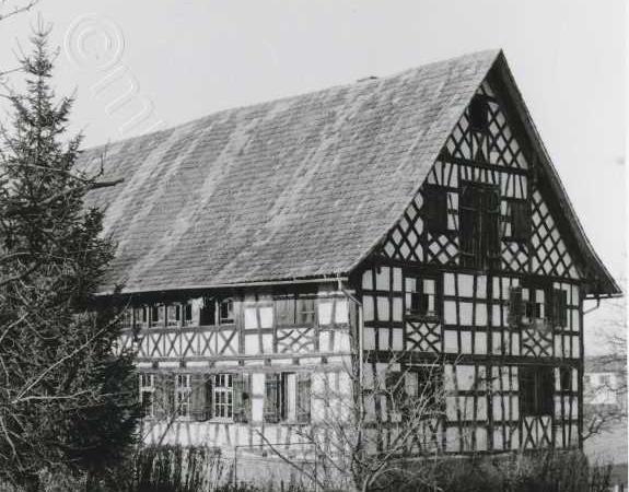 Haus in Scherzingen