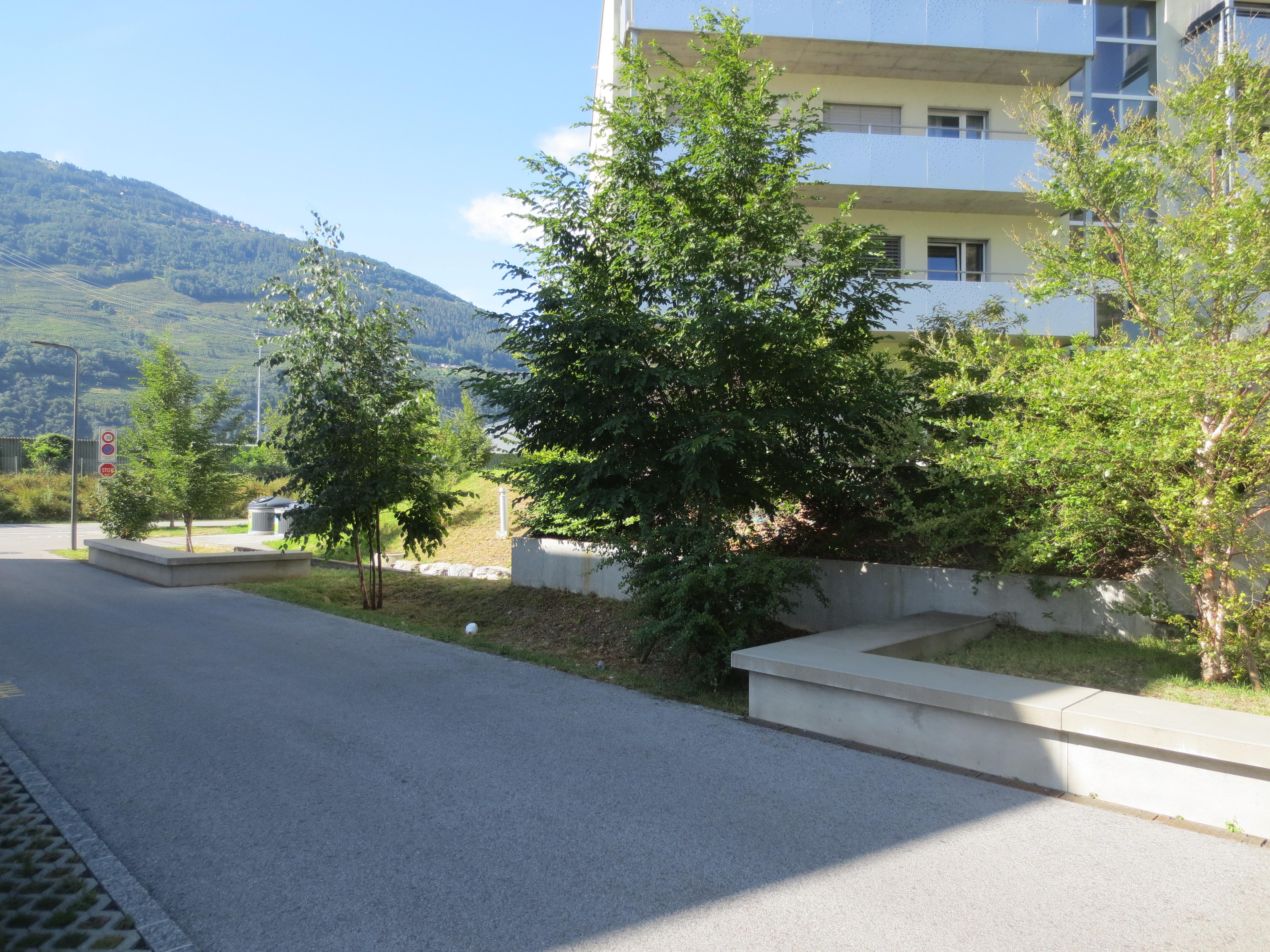 Rue des Bouleaux à Châteauneuf  Des noues dinfiltration en pleine rue résidentielle 