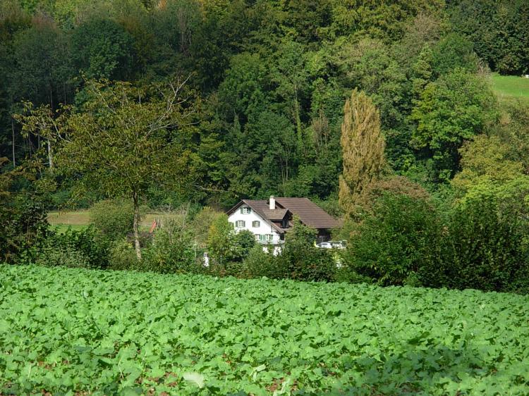 Sonnenberg2