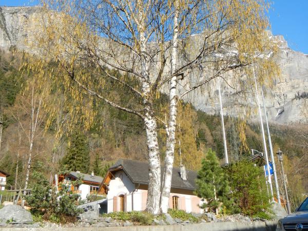 Frühling