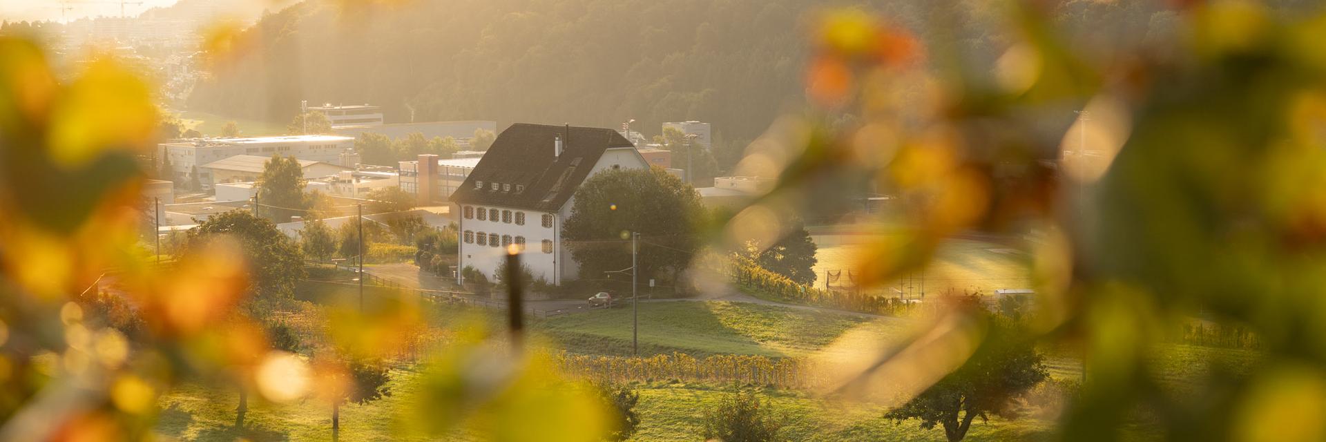 Leutschenhaus im Herbst