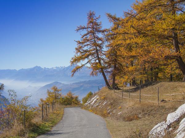 Herbstimpressionen