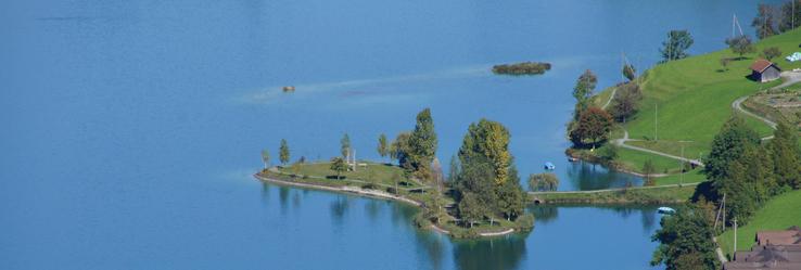 Inseli im Lungernsee