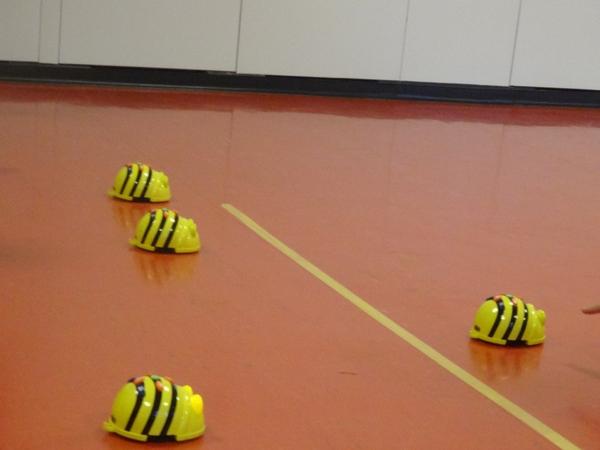 Bee Bot Rennen