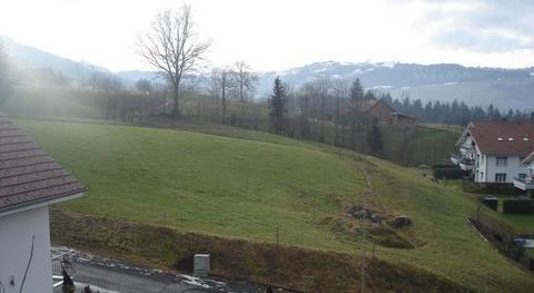 Das Gebiet Rotherd liegt an ruhiger Lage Richtung Schwarzenberg. Die erhöhte Lage bietet eine gute Besonnung. Zur Zeit sind Einfamilienhäuser und Eigentumswohnungen an diesem Standort geplant. Vorbehalten wird die Ortsplanungsrevision im Sommer/Herbst 2006.