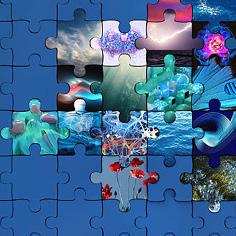 Puzzlewochen