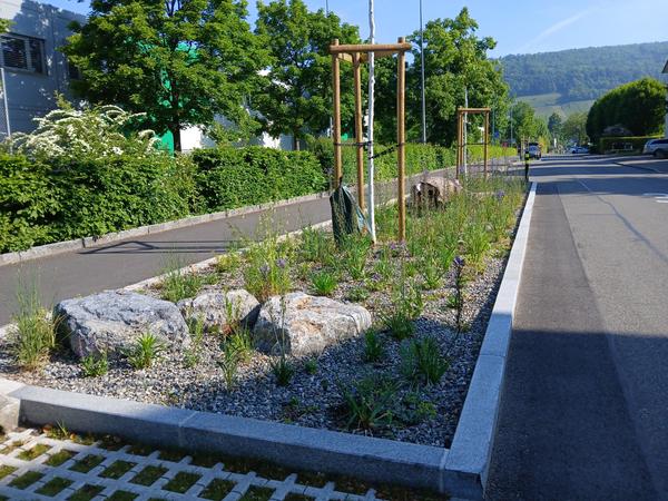 Staffelstrasse