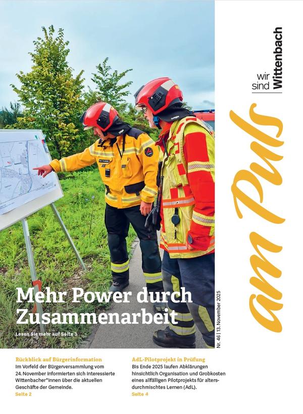 am Puls 2025/46