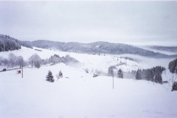 Oberhalb Todtmoos mit 30 Zentimeter Schnee.