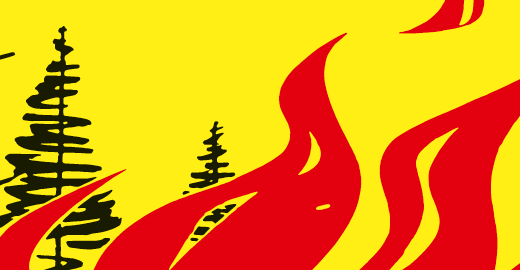 Feuerverbot im Wald und in Waldesnähe aufgehoben