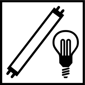 Bild Leuchtmittel