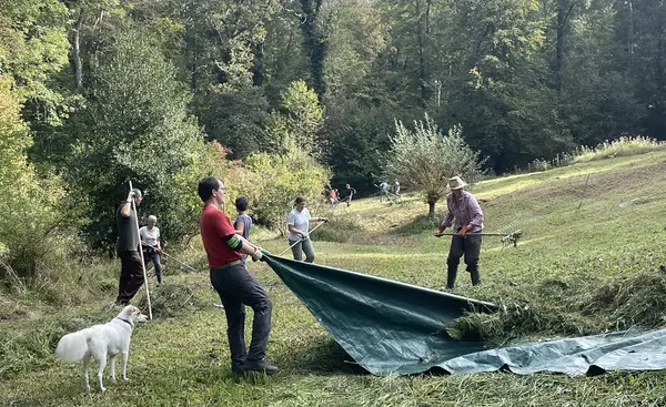Im Einsatz für die Natur im Biotop Bösmösli