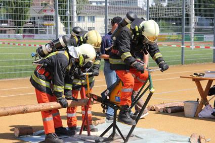 Holz sägen