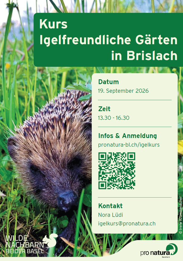 Igelfreundliche Gärten