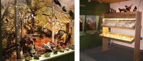 Naturmuseum Oberhasli