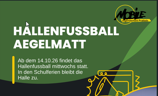 Hallenfussball
