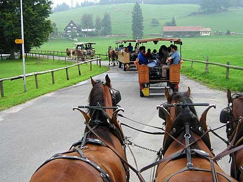 Ausflug Grosser Gemeinderat