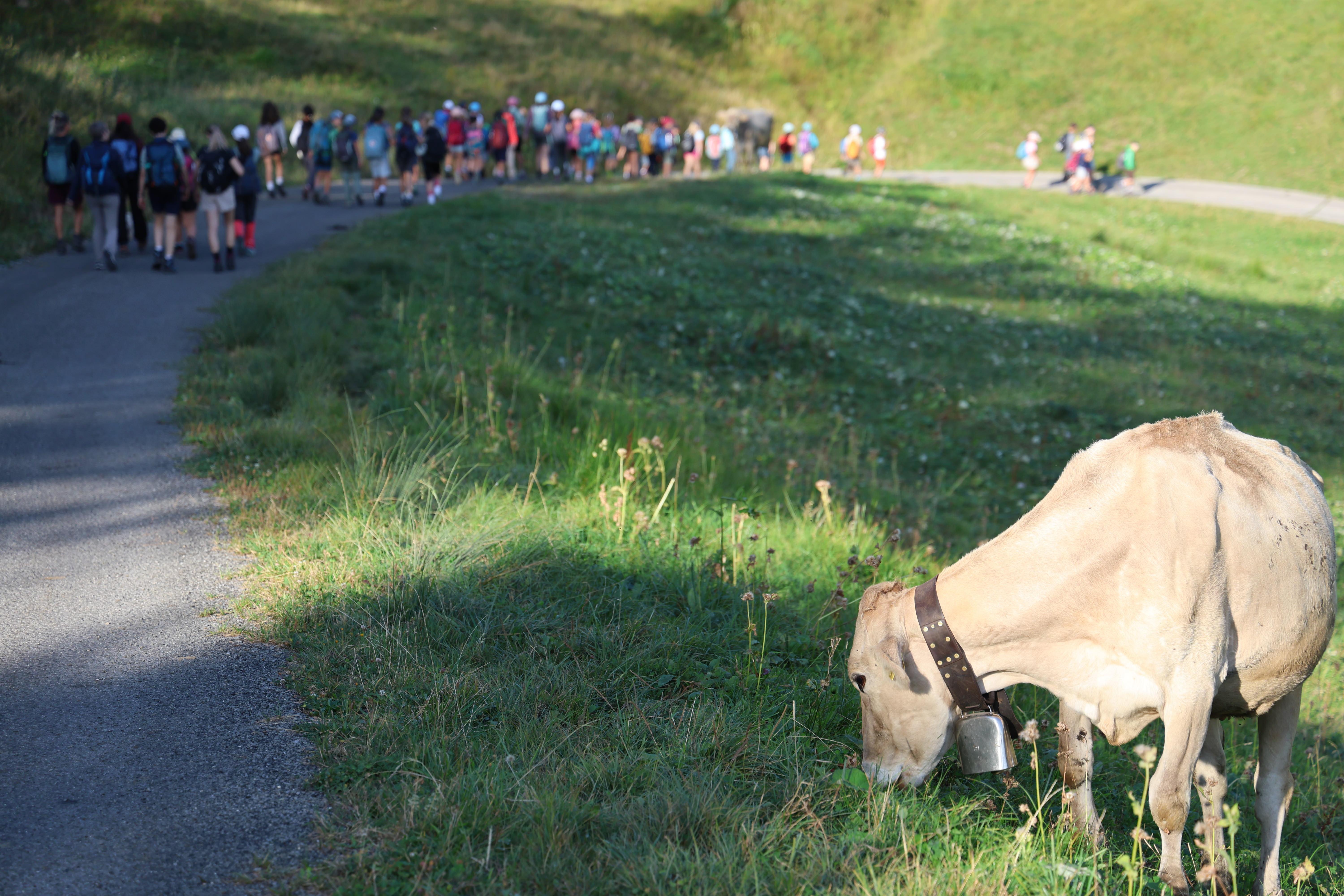 Herbstwanderung 2026 - Zyklus 2