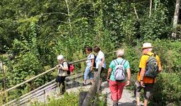 Wanderung 60plus