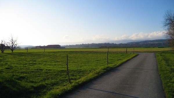 Landschaft
