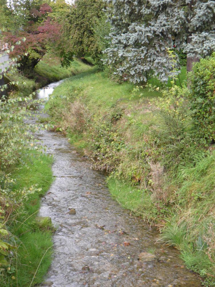 Wildbach2