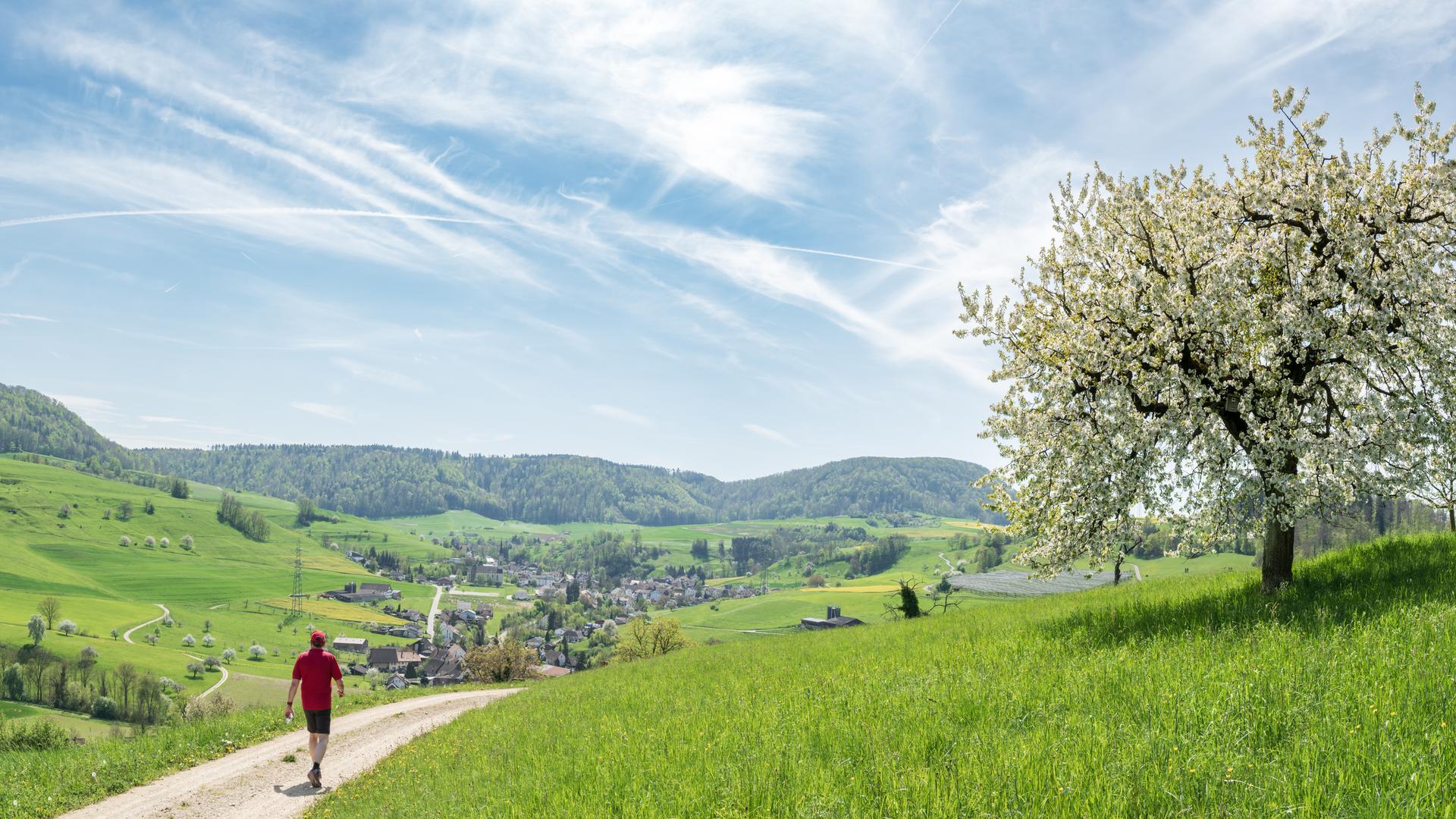Landschaft