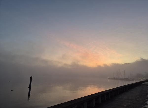 Nebelverangener Zürichsee