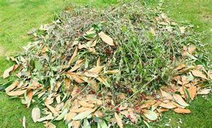 Déchets verts