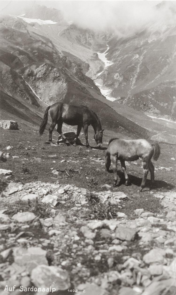 Sardona mit Hintergrund Sardonagletscher 