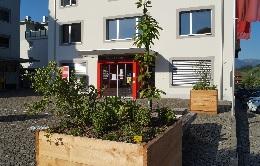 Naschgarten