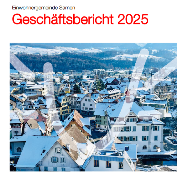 *Geschäftsbericht