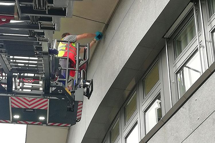Am Kantonsspital verfängt sich ein Vogel beim Verlassen des Nests in einer Schnur. Die Feuerwehr befreit ihn.