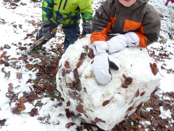 Erstmals im verschneiten Wald - KG
