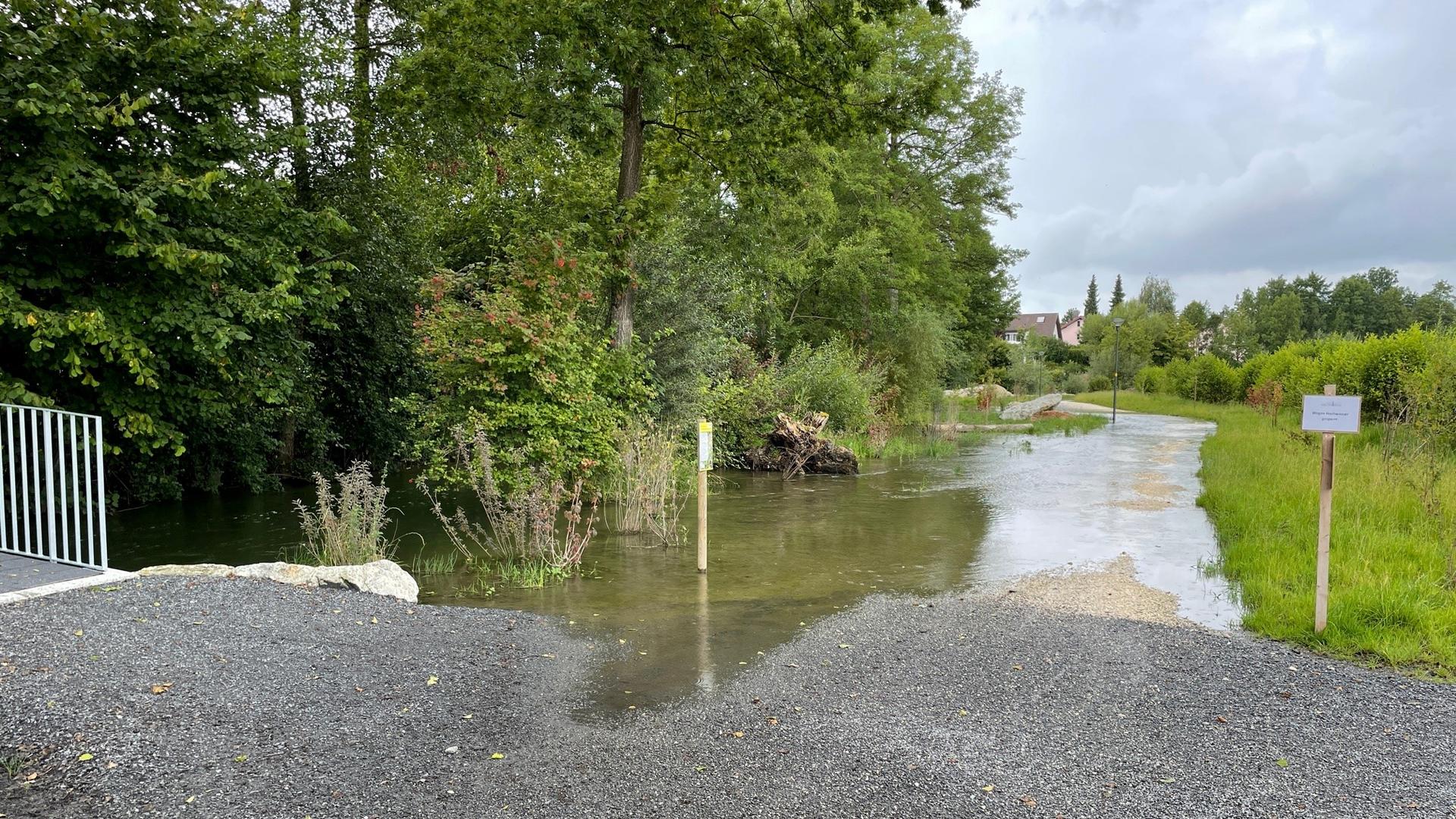 Hochwasser Sure