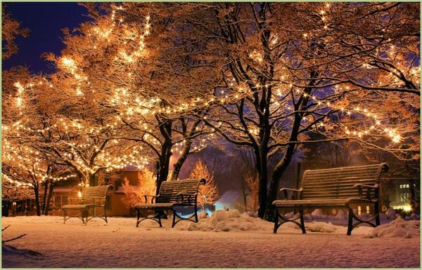 Winterstimmung im Park